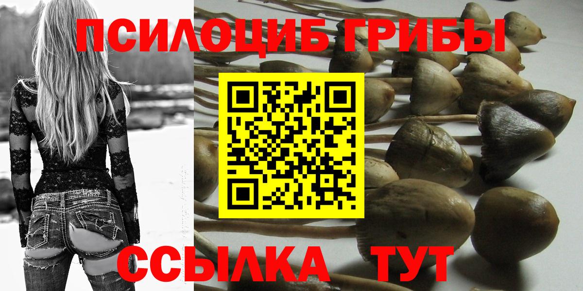 Тихвин  Псилоцибиновые грибы GOLDEN TEACHER  Вход с VPN  как найти наркотики  Галлюциногенные грибы Psilocybine cubensis 
