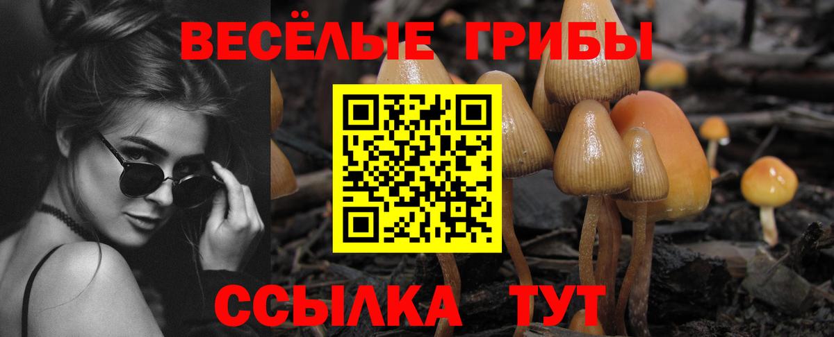 Псилоцибиновые грибы MAGIC MUSHROOMS Тихвин
